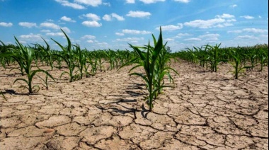 Recomendaron la declaración de emergencia agropecuaria para 13 distritos bonaerenses