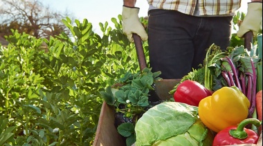 La Universidad Nacional de La Plata hará nuevas Jornadas sobre "Agricultura Familiar"