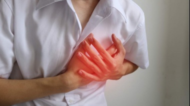 Investigadores de La Plata demostraron que la administración de hidrocortisona a un corazón que sufrió un infarto contribuye a reducir los daños en un 30 %